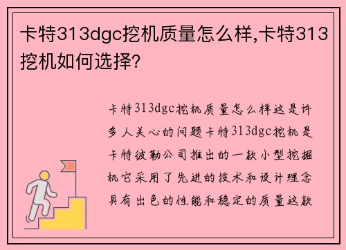 卡特313dgc挖机质量怎么样,卡特313挖机如何选择？